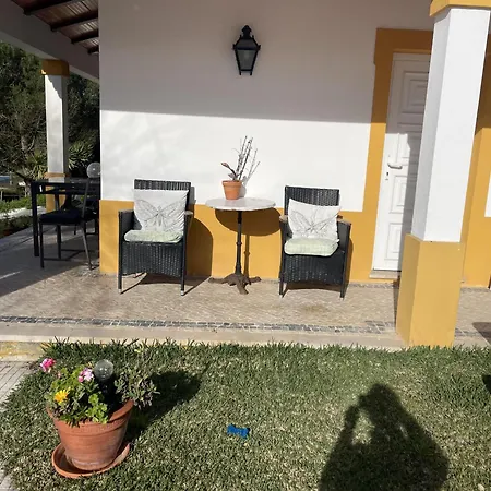 Fantastic House Swimmingpool Jacuzzi Horses